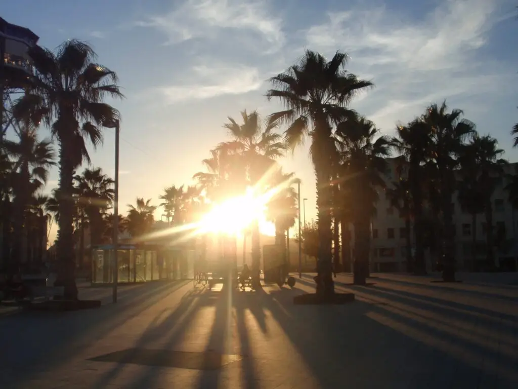 food & drink barcelona