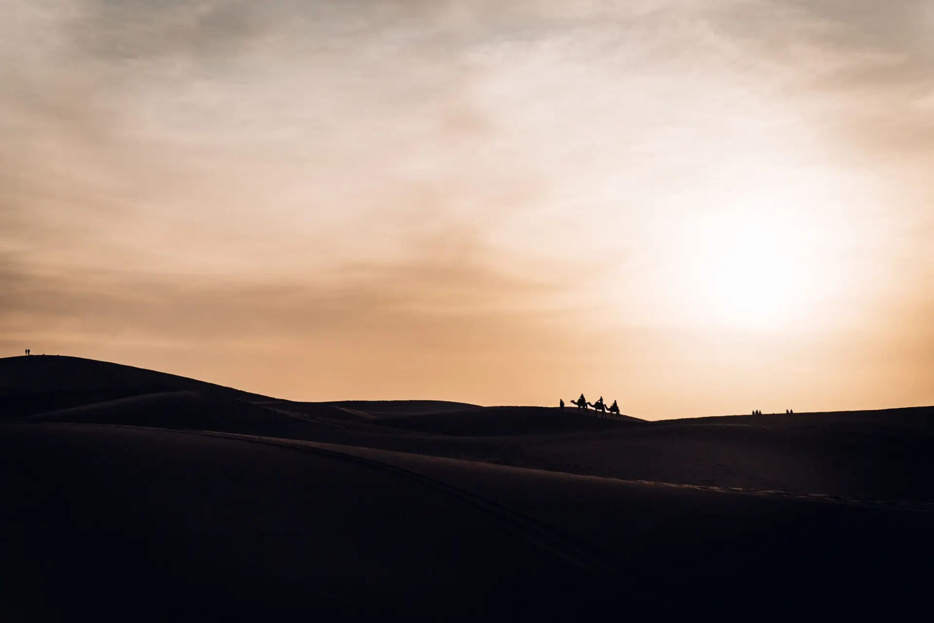 desert blues tuareg