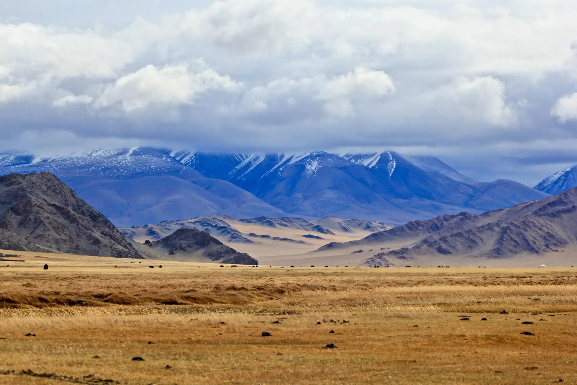 Books About Afghanistan