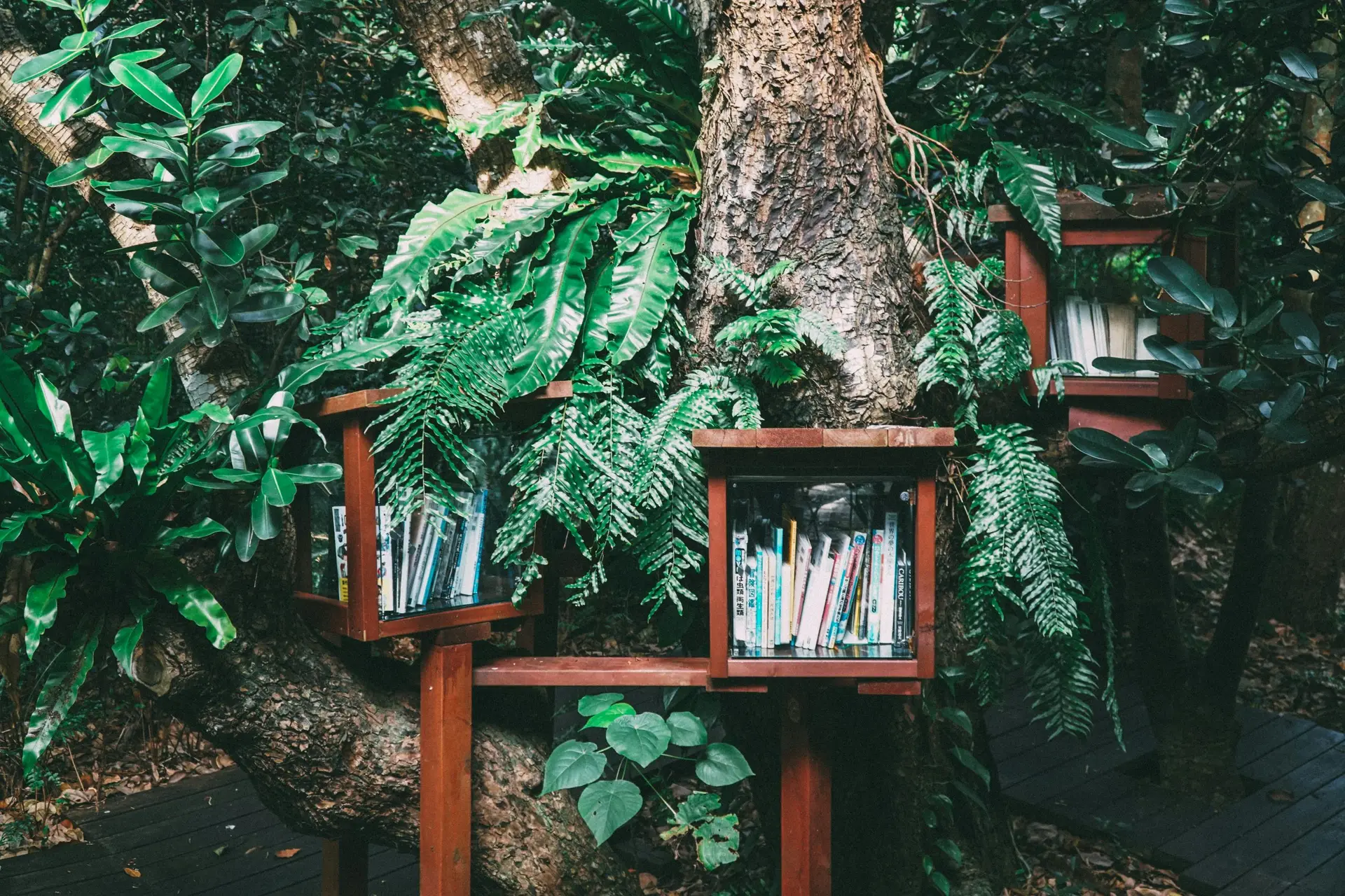 Books about plants