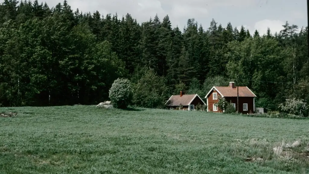 Scandinavian movies